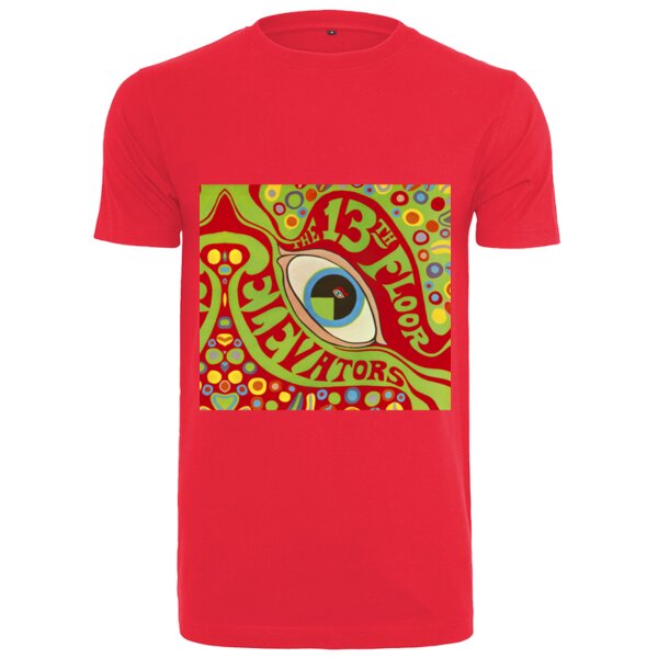 The 13th Floor Elevators - Psychedelic Thumbnail