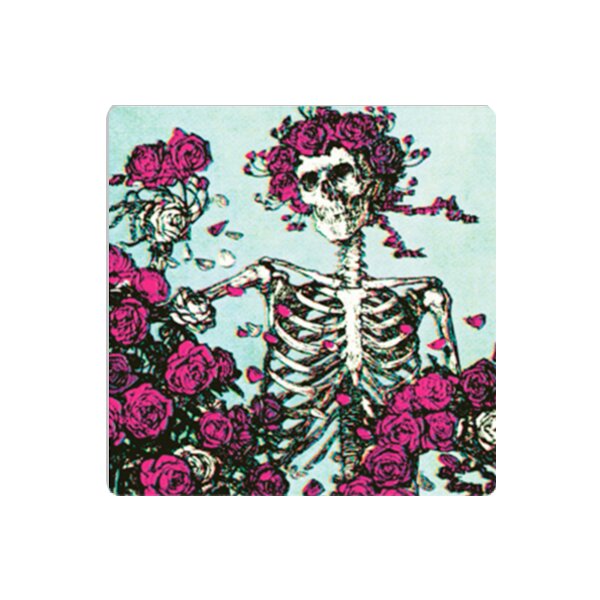 Grateful Dead - Skull and Roses Thumbnail